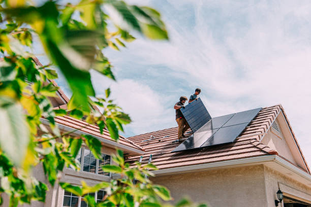 Best Roof Moss and Algae Removal  in St Augusta, MN